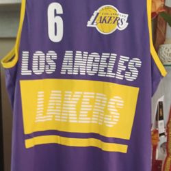 Lebron Jame.LA Lakers Jersey #6
