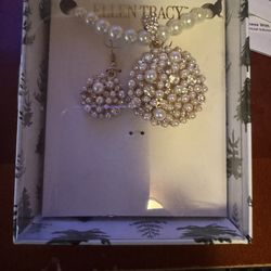 Ellen tracy necklace and earrings jewelry set