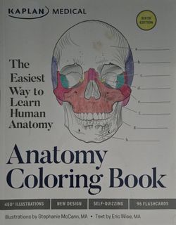 Anatomy