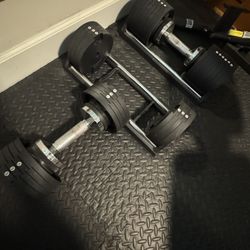 Snode Adjustable Dumbbells With Bench And Box