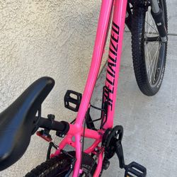 Brand New. Specialized Bike 24  Premium Aluminum. 