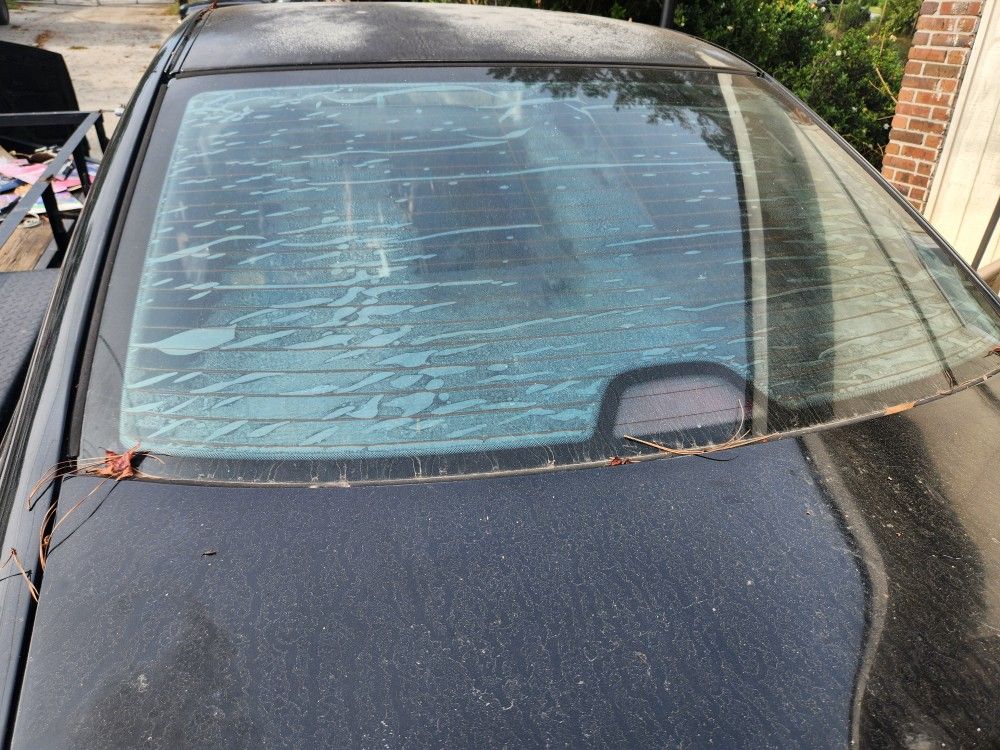 Rear Windshield 2003 BMW 525i