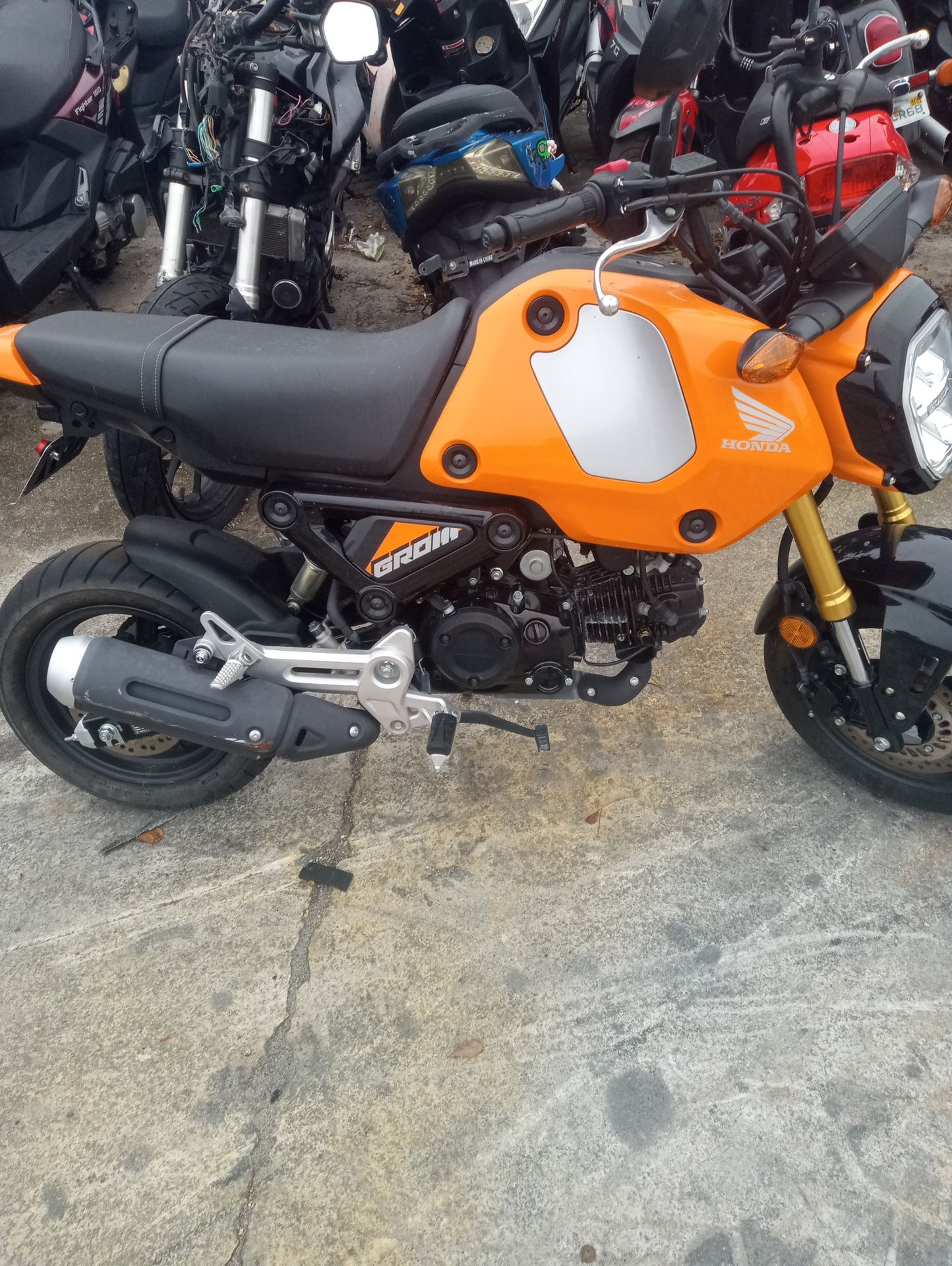 2024 Honda Grom