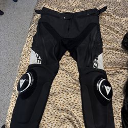 Dainese delta 4 leather pants 