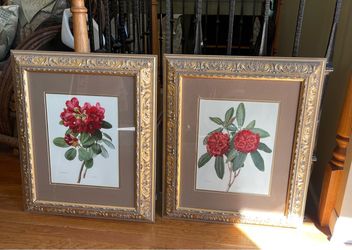 MCM FRAMED FLOWER PRINTS