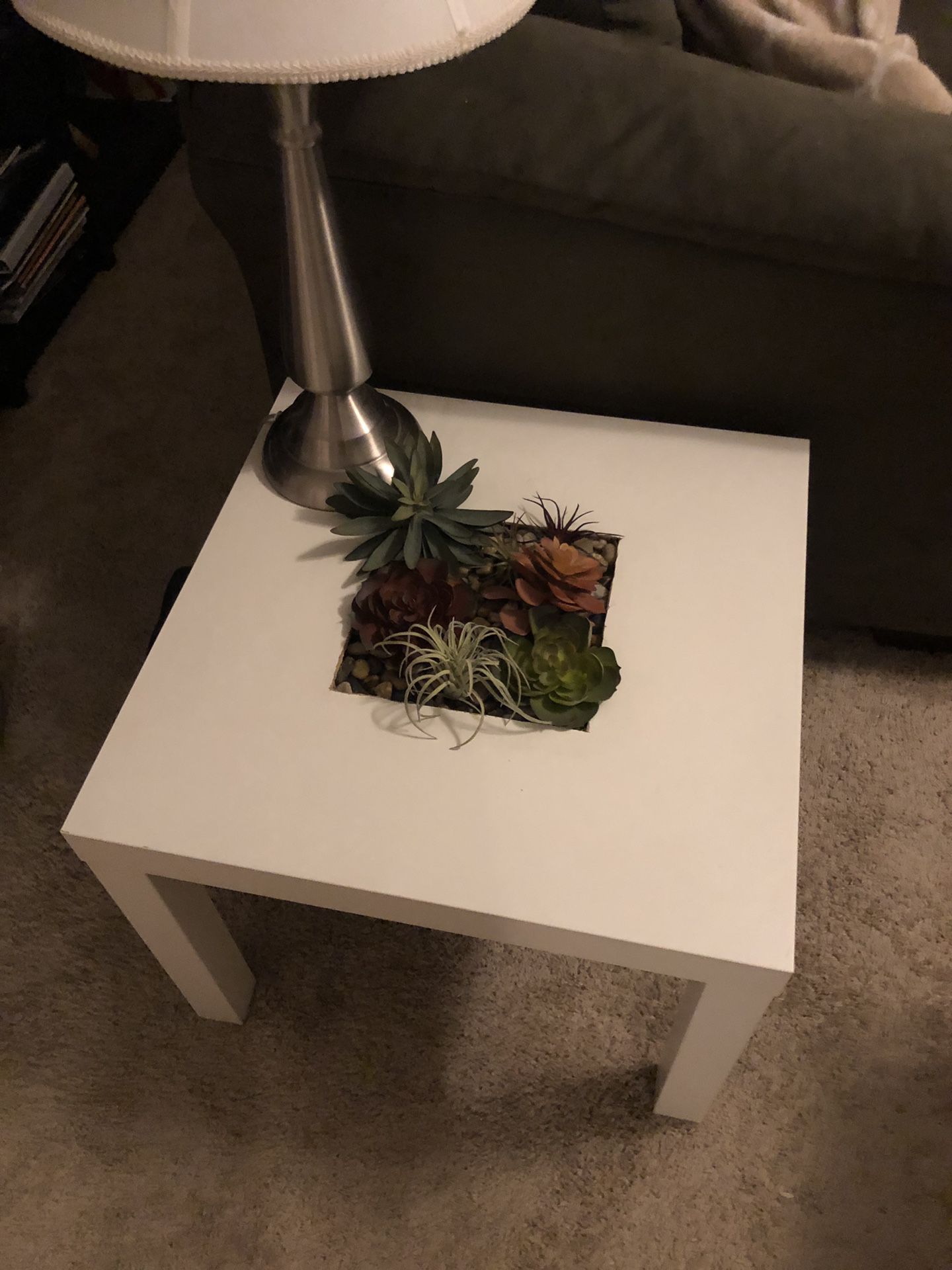 Side table with built-in succulent garden!