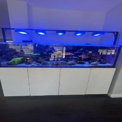 Elite Aquarium Setup - First-Class Quality series face