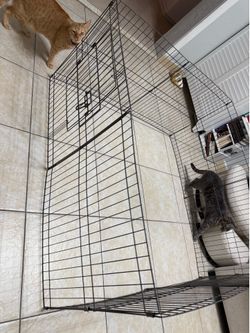 Pet playpen 24” inch tall 8 panels