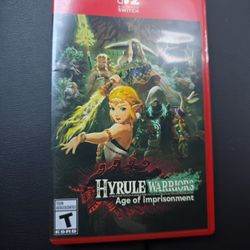 🔥 Zelda: Age of Calamity Switch 2 – Like New 🔥