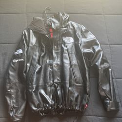 Supreme The North Face Leather Mountain Parka 