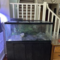 75 gallon tank with built in storage 