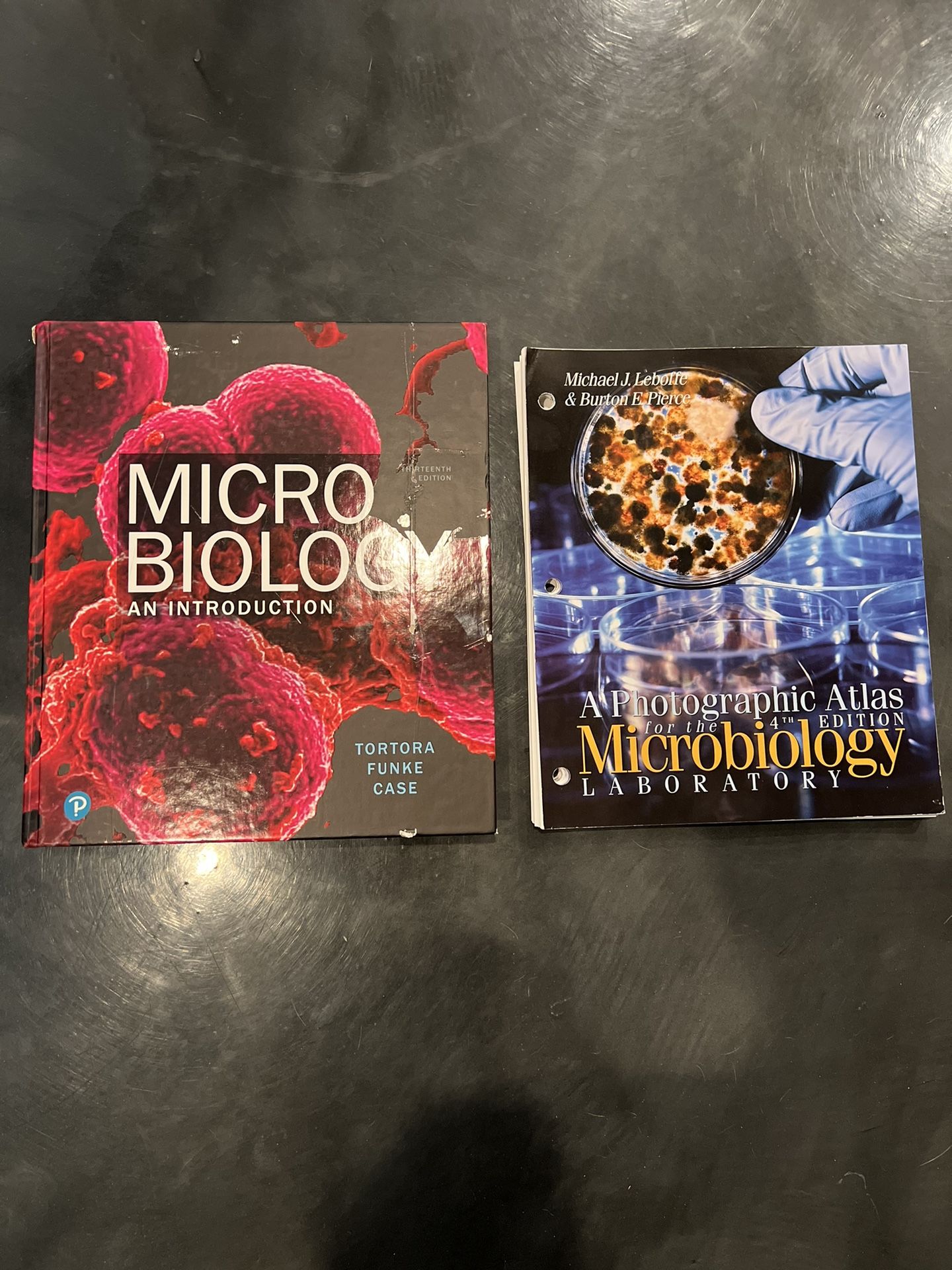 Microbiology An Introduction 13th Edition (Tortola Funke Case) and A Photographic Atlas 4th Edition Microbiology Laboratory