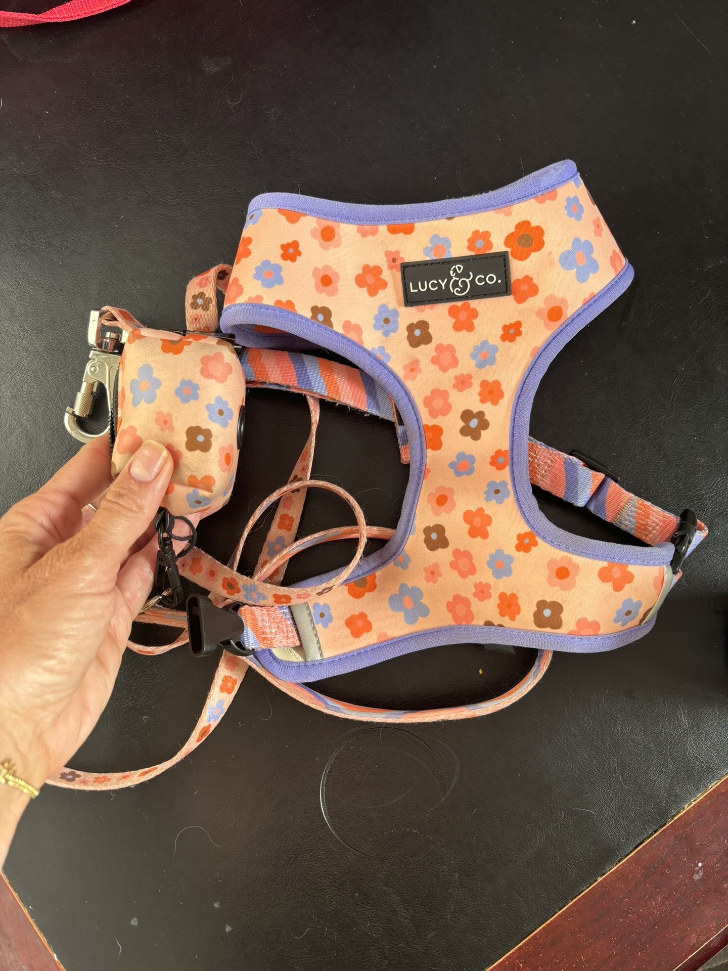 Lucy and CO dog Harness