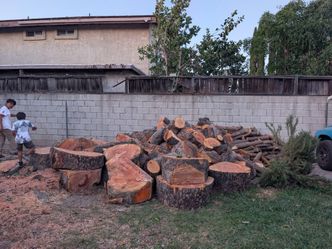 FREE WOOD