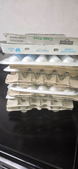 Free egg trays