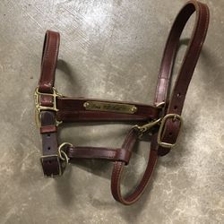 Horse Halter - Never Used