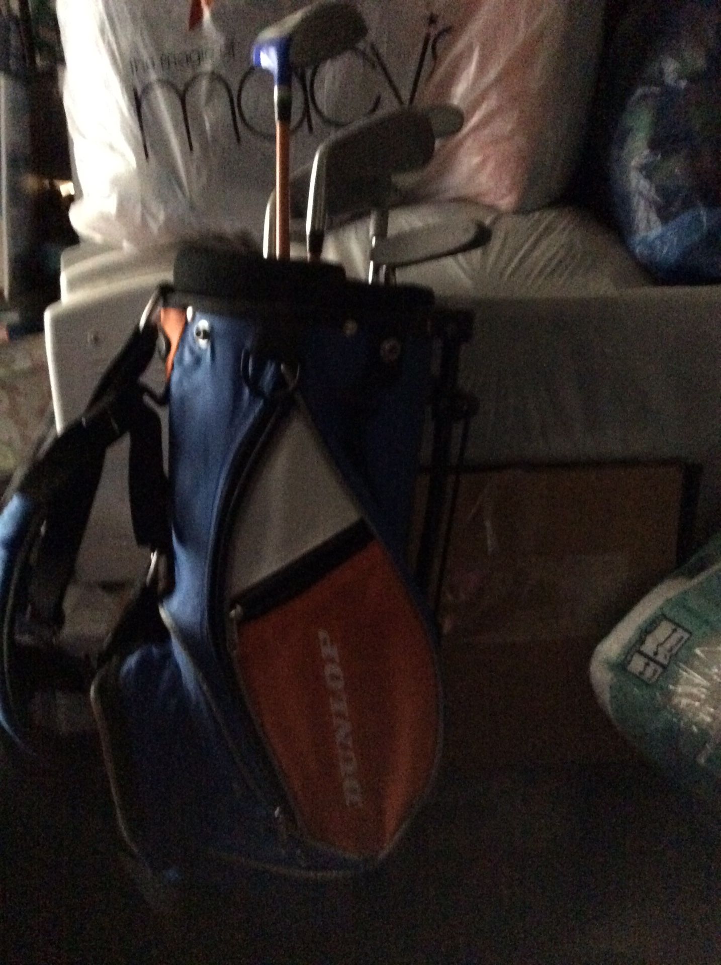 Golf bag with clubs