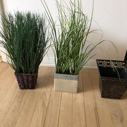 New Faux Plants 
