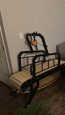 PawPaw Dog-Treadmill