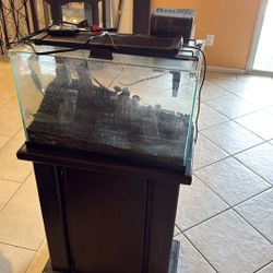 Fish Tank 