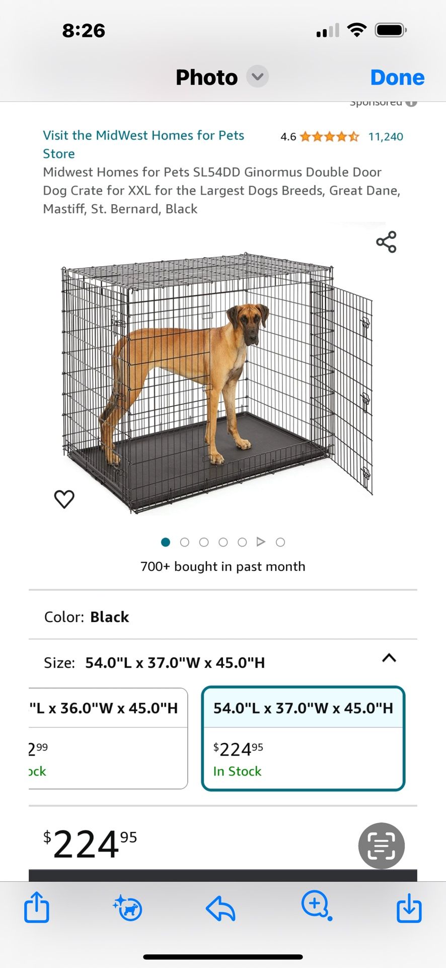 Xl Dog Kennel