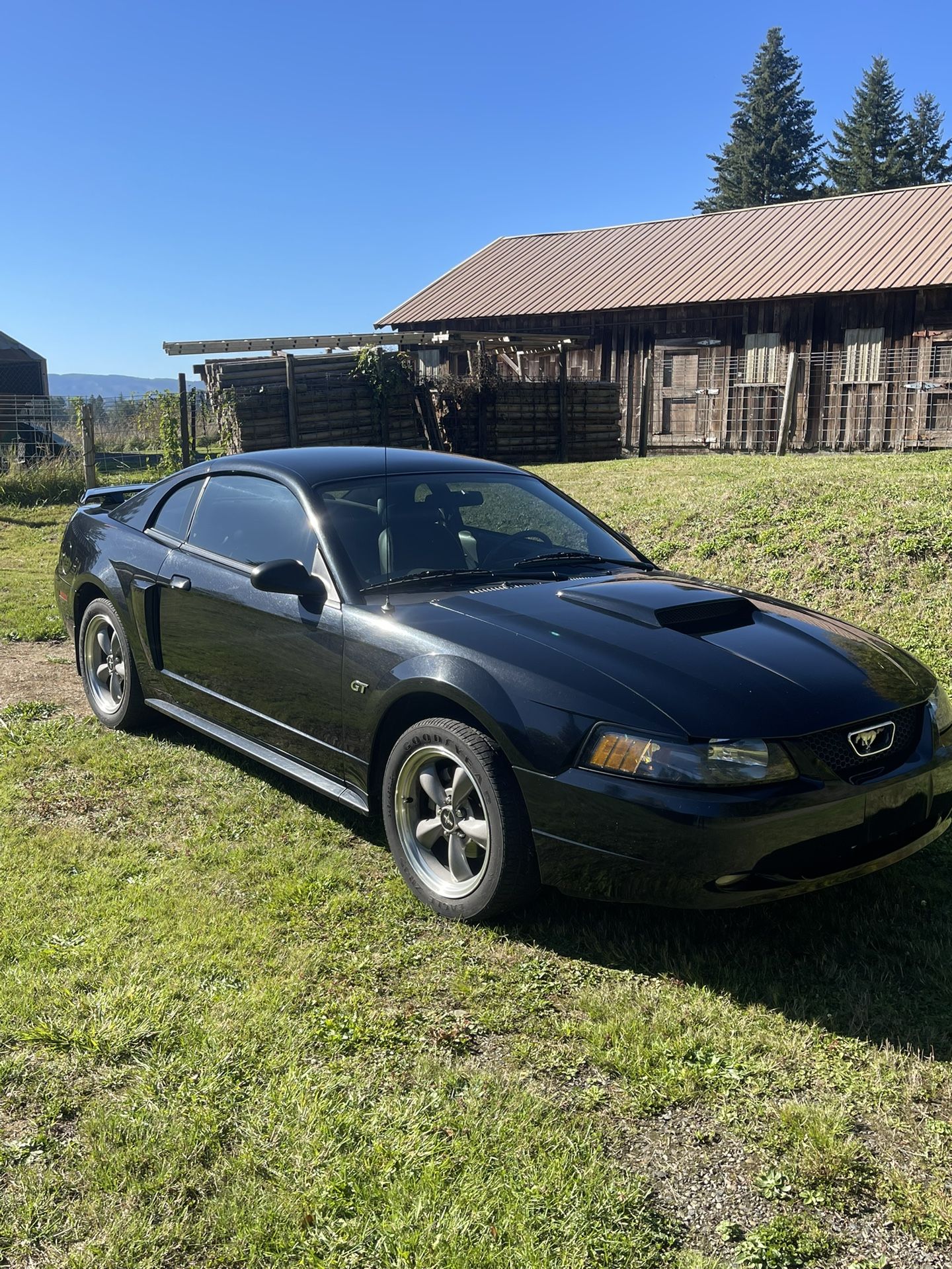 2002 Ford Mustang