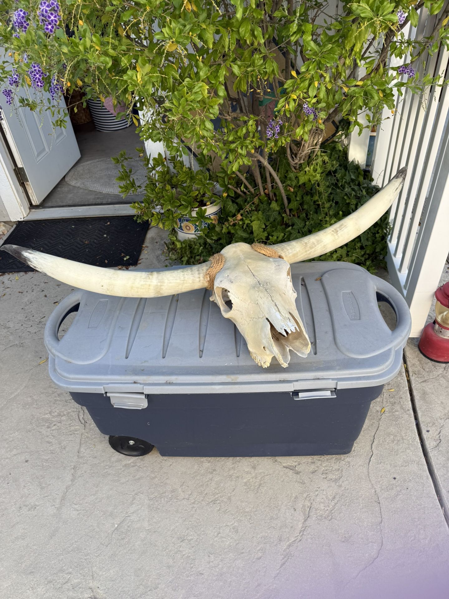 Vintage , Bikes, Fishing Rods, BBQ Hoods,,