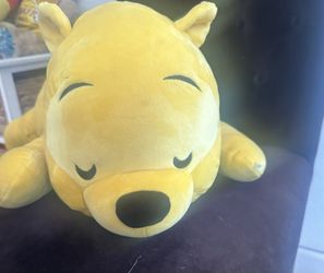 Winnie The Pooh