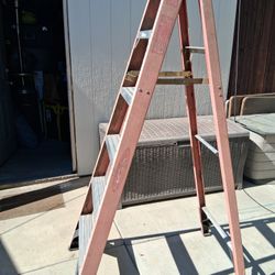 6ft Ladder 