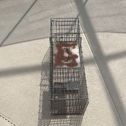 Cage Trap 