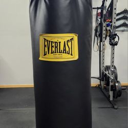 Everlast Punching Bag