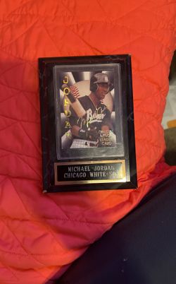 Micheal Jordan Chicago White Socks Official Miner League Card