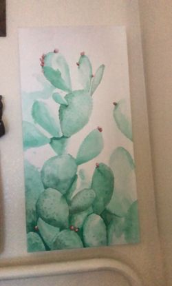Cacti / Succulent Prints on Canvas