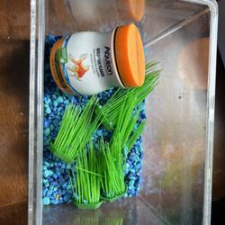 Fish Tank Mini Set Up