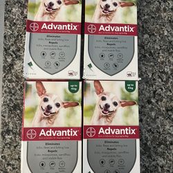 TICK FLEA MOSQUITO 🦟 lice prevention