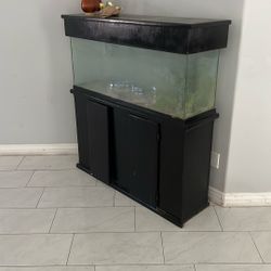 Big Fish Tank 