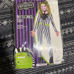 Beetlejuice Suit 