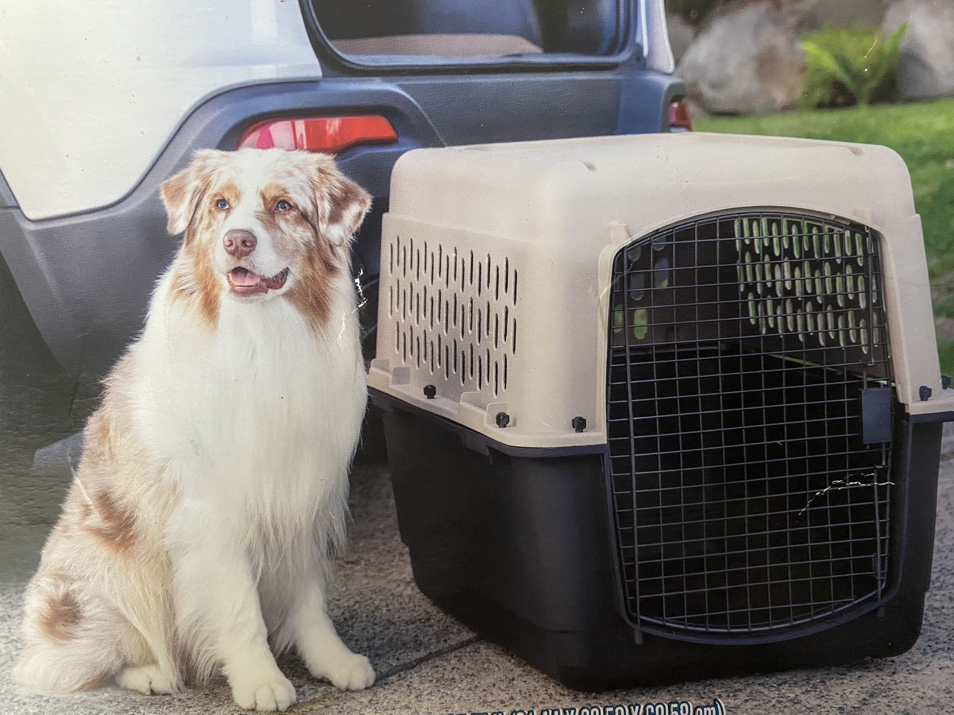 XL Dog House For Sale