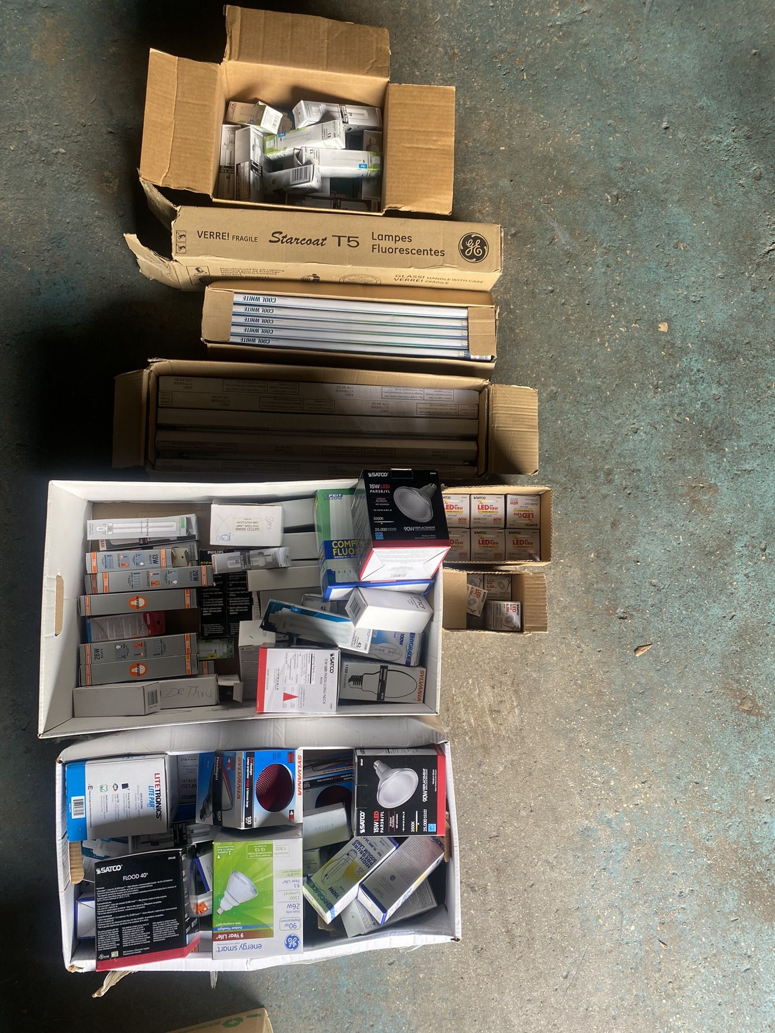 Light Bulbs, A Bunch Of Them, All Shapes And Sizes, All For $149