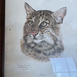 Antique Vintage Charles Frace Collection Of Wild Animals With His Signature. SALE $$50 Each 🍀