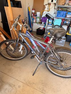 Adult Bikes