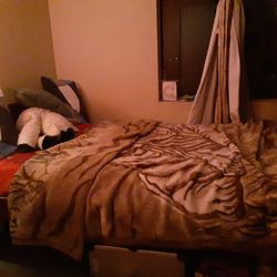 bed