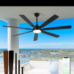 Ceiling Fan
