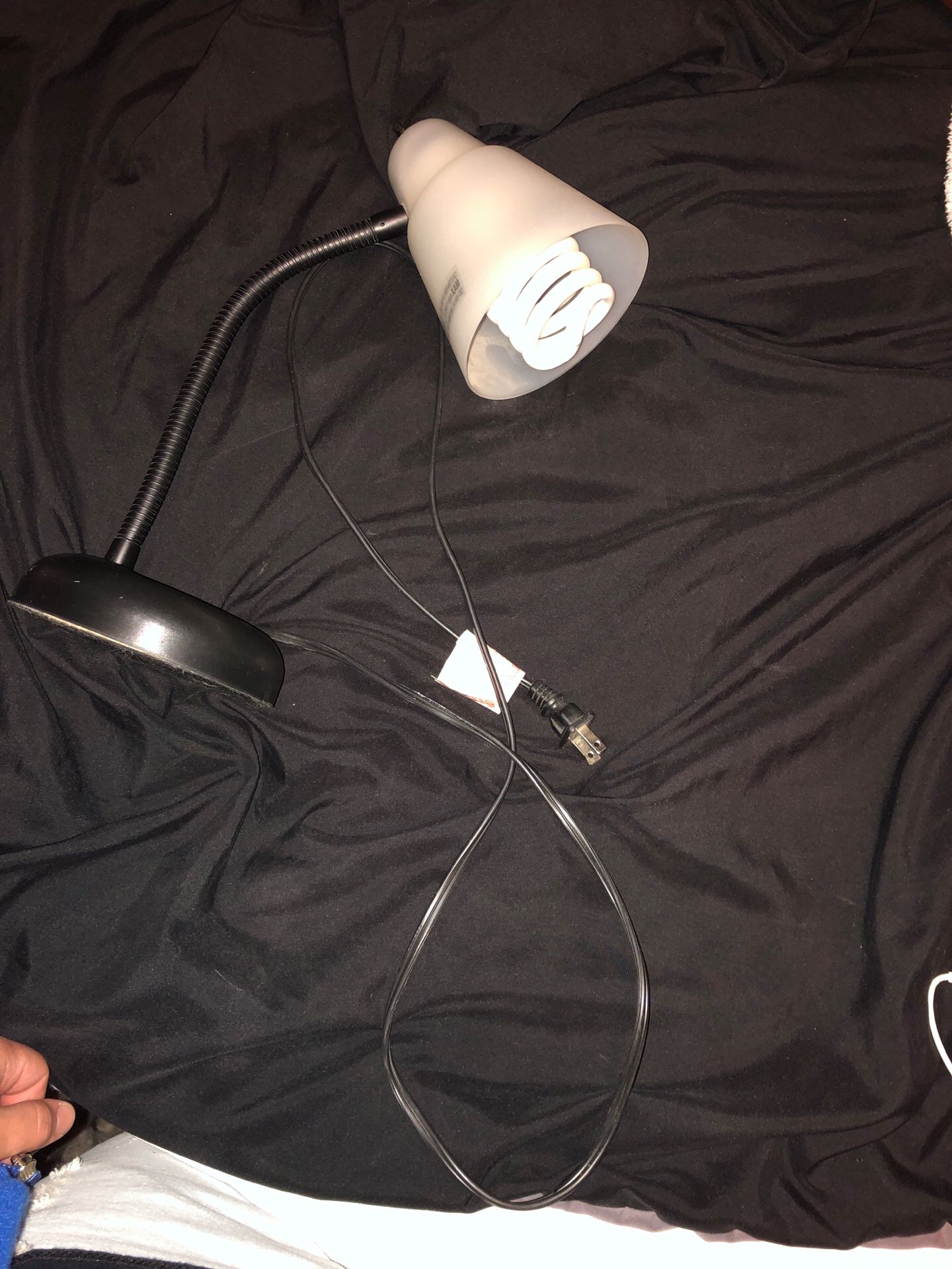 Desk Lamp