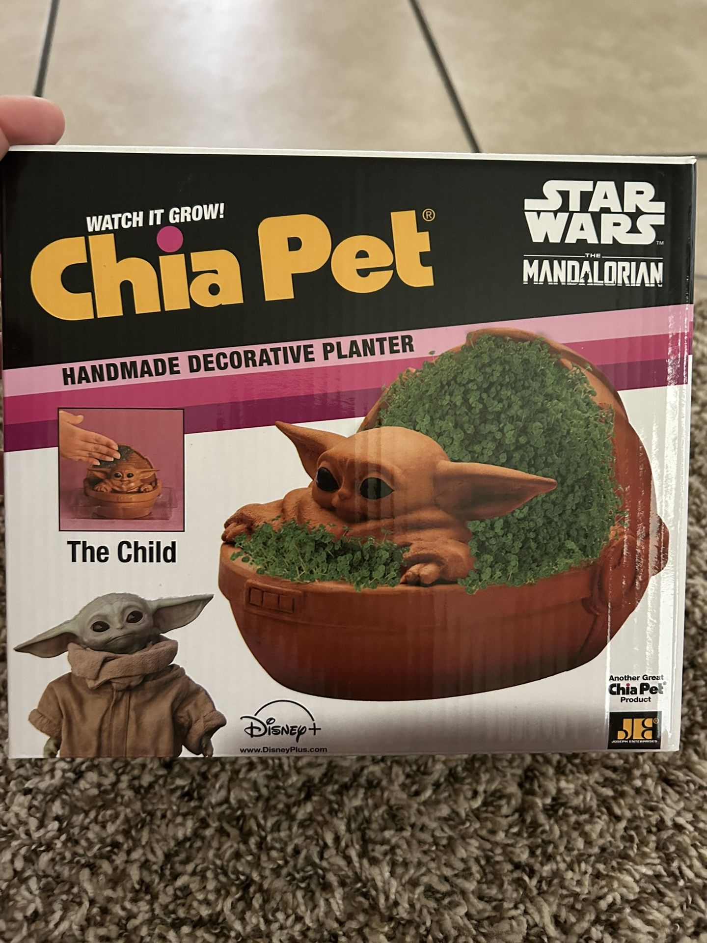 Chia Pet Star Wars Grogu