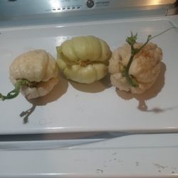 plantas de chayotesa $5 cada uno