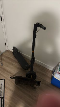 Sweat Max G2 Scooter