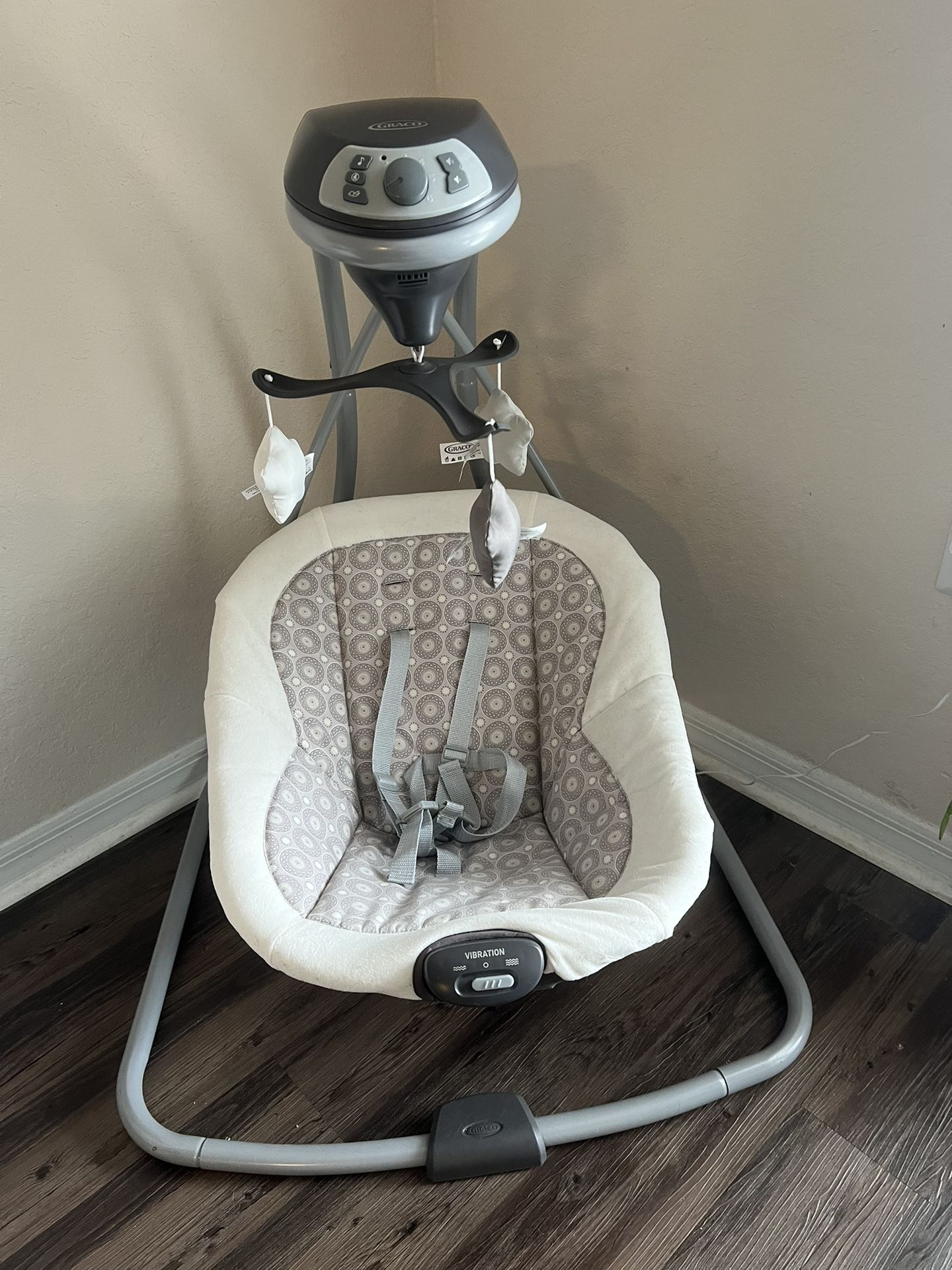 Graco Baby Swing 