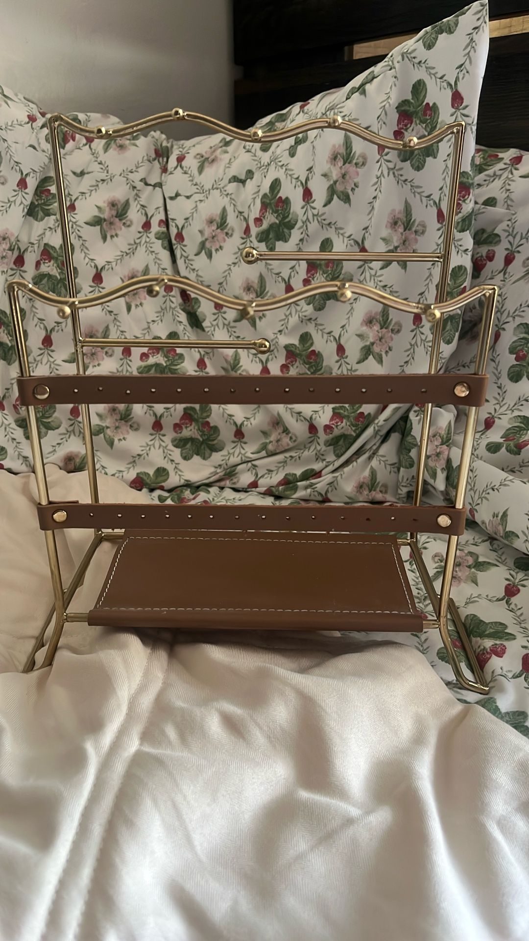 Earring and Necklace Holder