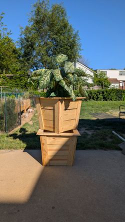 Cedar planter